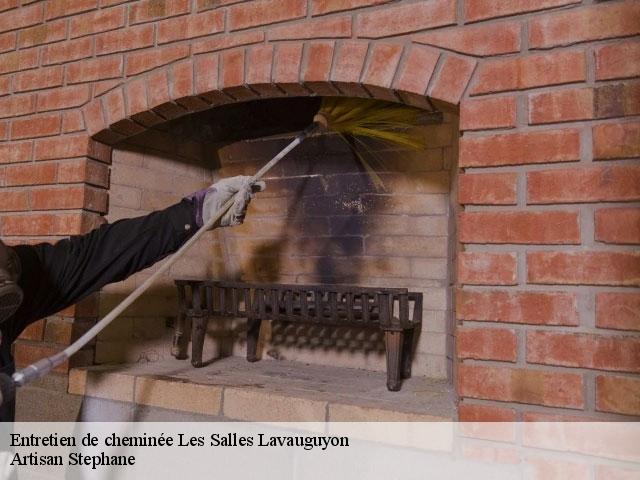 Entretien de cheminée  les-salles-lavauguyon-87440 Artisan Stephane