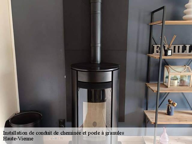 Installation de conduit de cheminée et poele à granules Haute-Vienne 