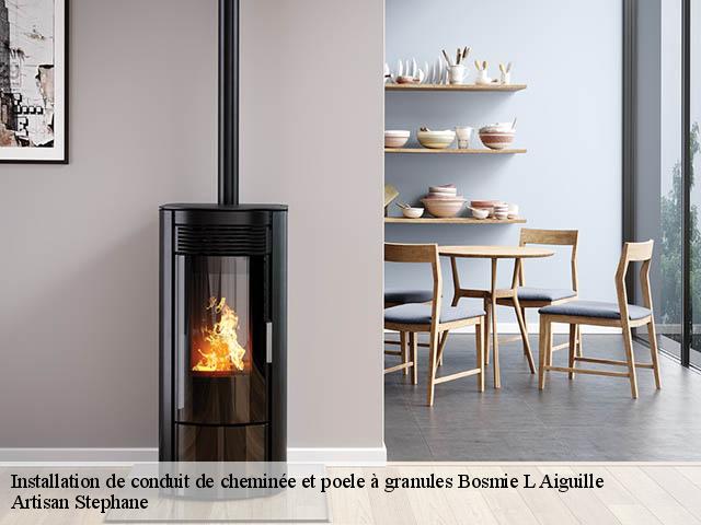 Installation de conduit de cheminée et poele à granules bosmie-l-aiguille-87110 Artisan Stephane
