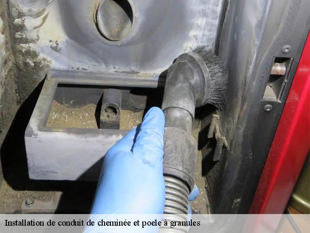Installation de conduit de cheminée et poele à granules